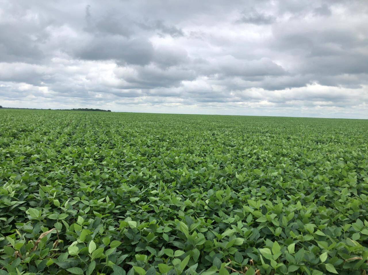Fazenda em Confresa-MT 2
