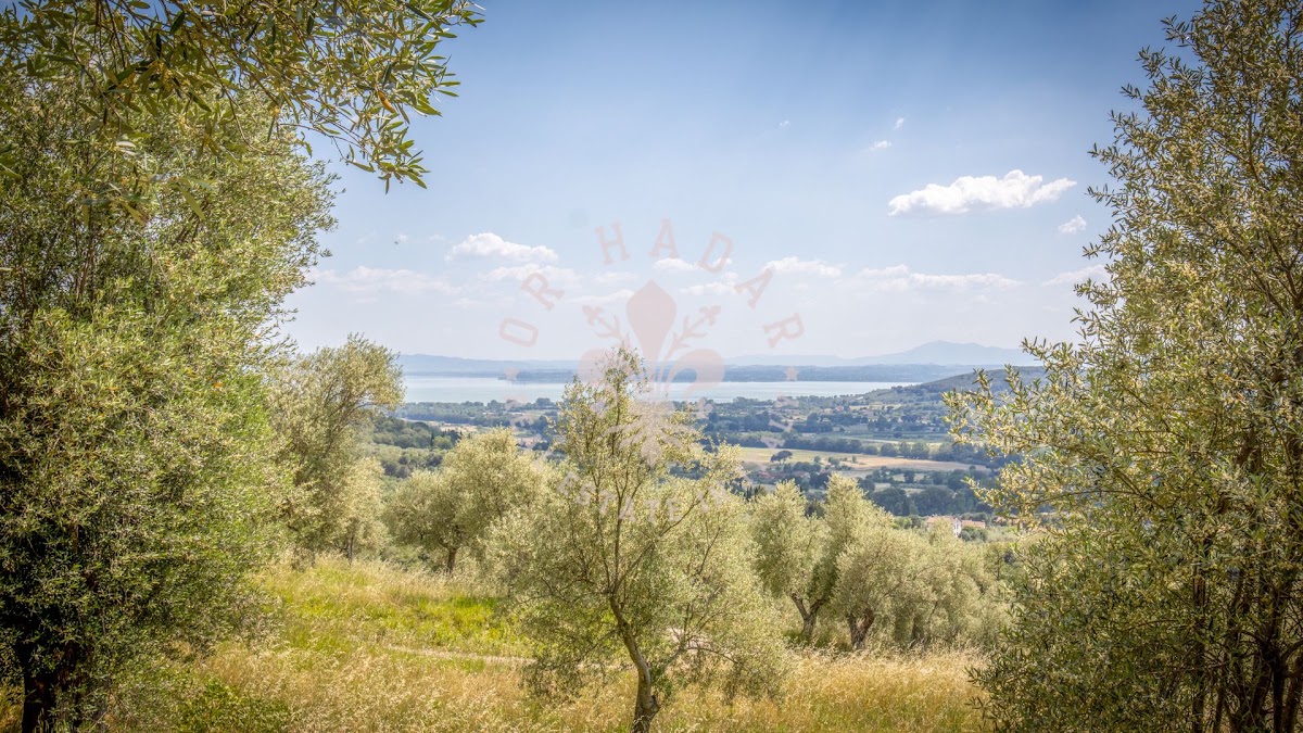 פודרה רוזאטה (Podere Rosata) — 32