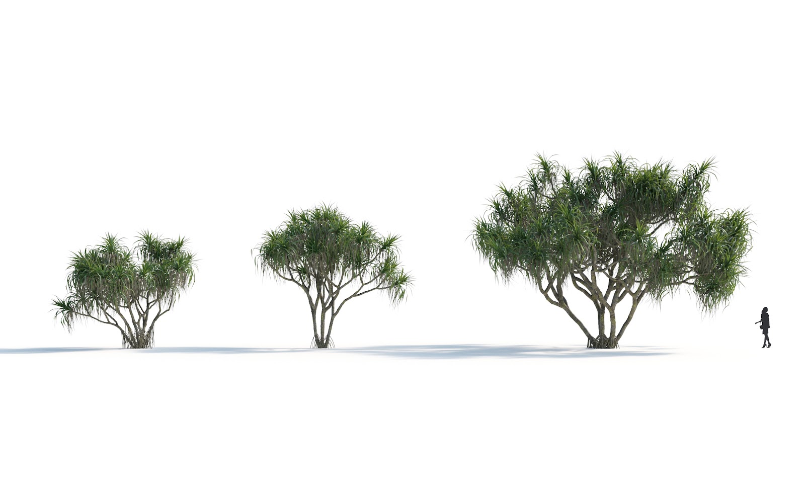 Maxtree - Plant Models Vol.7