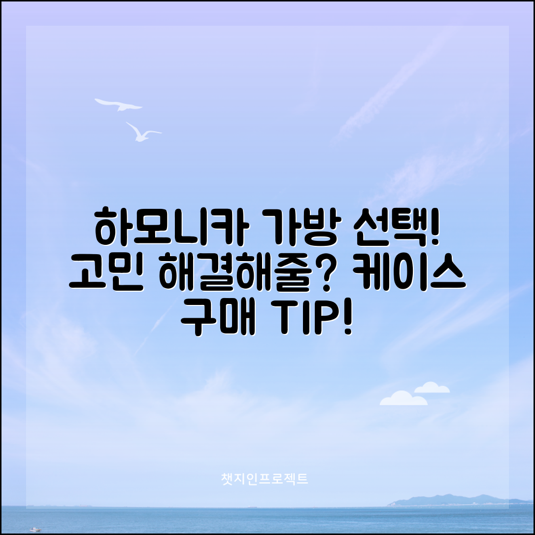 하모니카가방케이스, 선택의 고민 해결할까요?