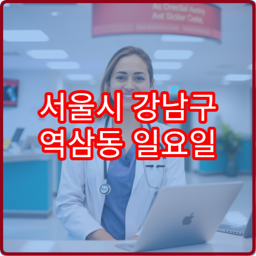 서울시 강남구 역삼동 일요일 한의원 침 치료 주말 운영 정보