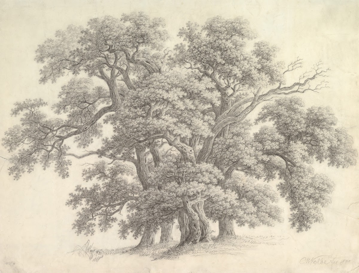 Study of Oak Trees 1800