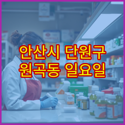 안산시 단원구 원곡동 일요일 약국 당번약국 정보 및 운영시간 확인