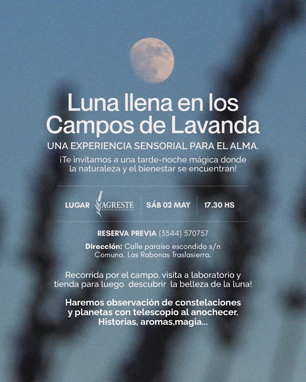 Luna llena en los Campos de Lavanda