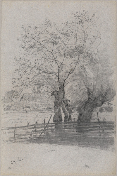 Drei Weiden hinter einem Lattenzaun 1884
