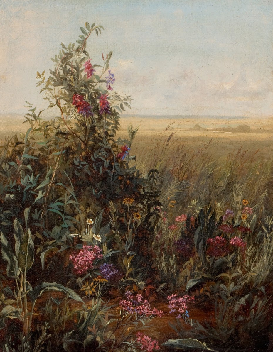 Wildflowers against a Vast Landscape c 1870s