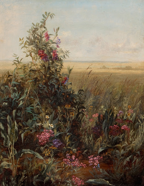 Wildflowers against a Vast Landscape c 1870s