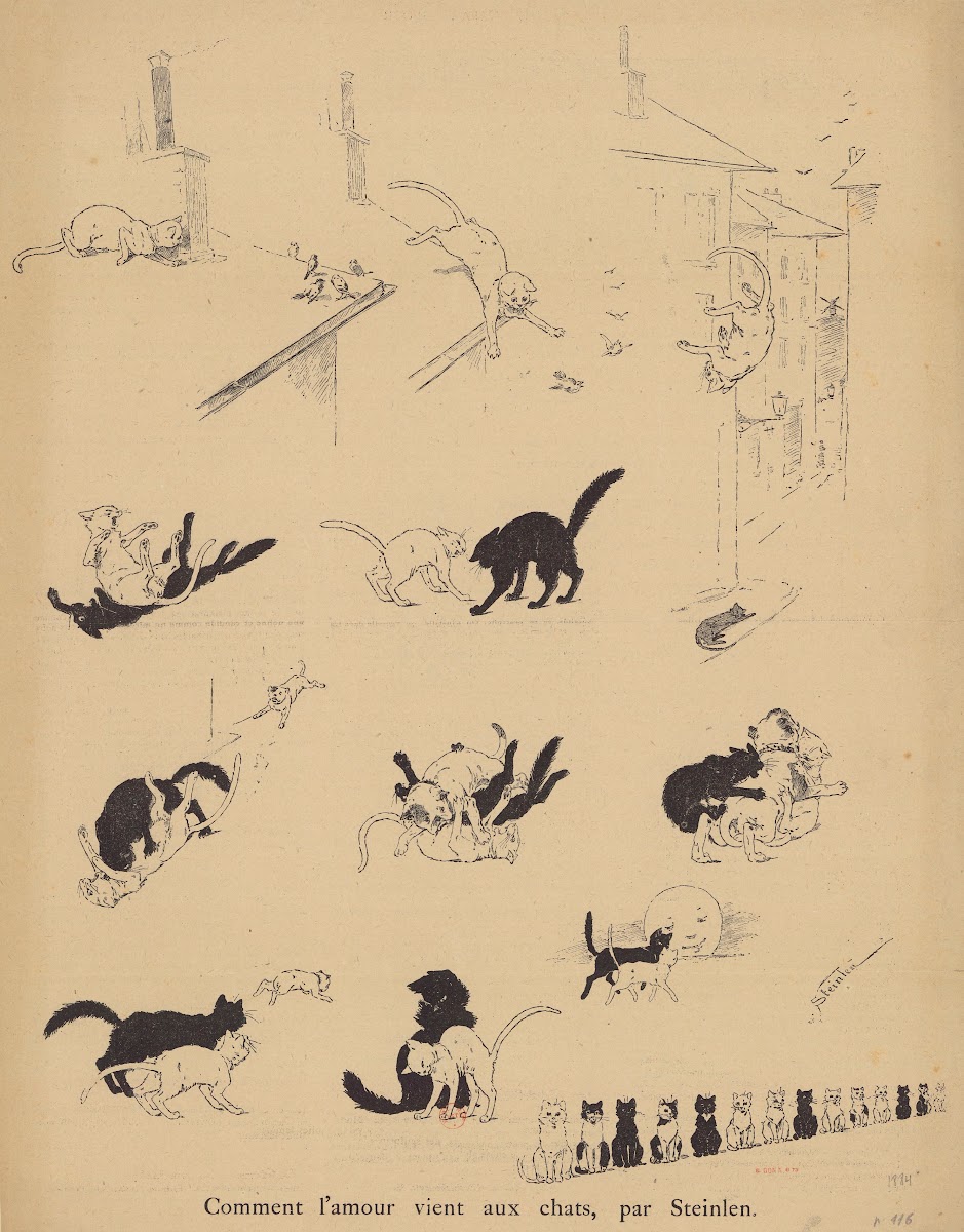 Comment lamour vient aux chats 1884