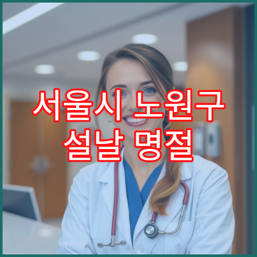 서울시 노원구 설날 명절 피부과 연휴 진료 병원 피부염·두드러기·화상 상담 가능