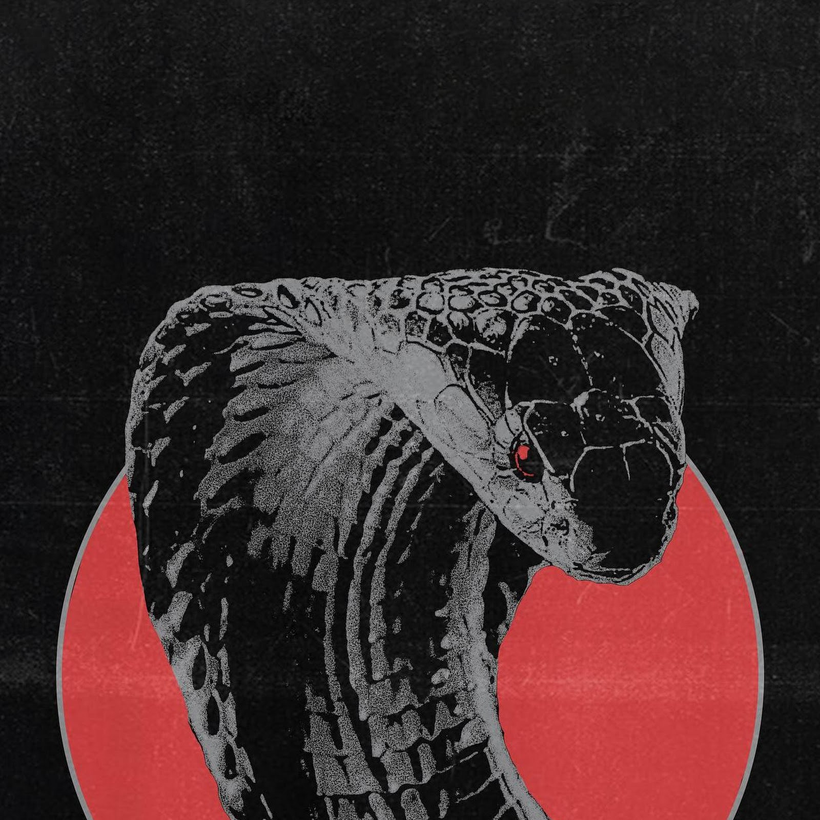 Download Gritty Cobra Head On Red Circle Full HD iPhone