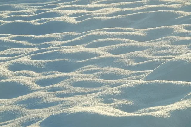 자취생 겨울철 냉장고 정리 루틴