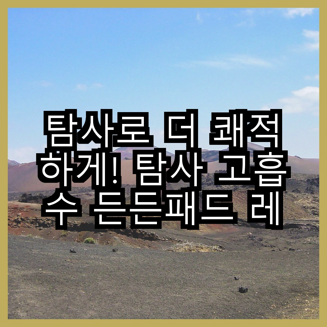 탐사로 더 쾌적하게! 탐사 고흡수 든든패드 레몬향 vs 탐사 그물망 배변판, 어떤 선택이 나을까? 썸네일