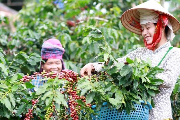 Xuất khẩu nông, lâm, thủy sản vượt 23 tỷ USD - Đài Phát thanh và truyền hình Hà Nội
