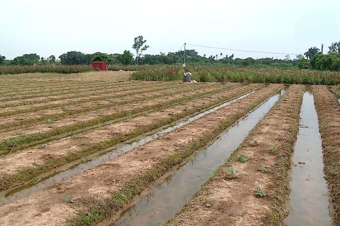 Lãng phí nguồn lực đất đai từ các dự án chậm triển khai - Đài Phát thanh và truyền hình Hà Nội