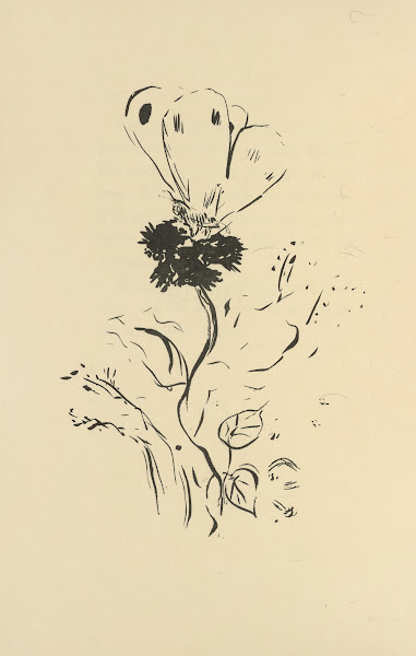 Histoires naturelles Pl 37 1922