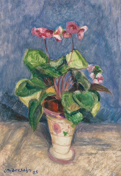 Blühendes Alpenveilchen 1925
