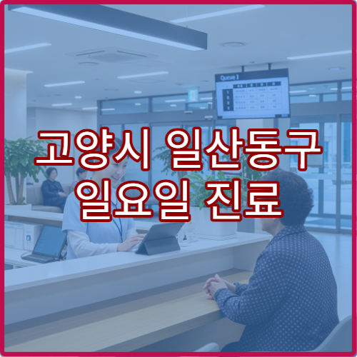 고양시 일산동구 일요일 진료 안과 병원 시력 검사·안구 건조증 진료 가능