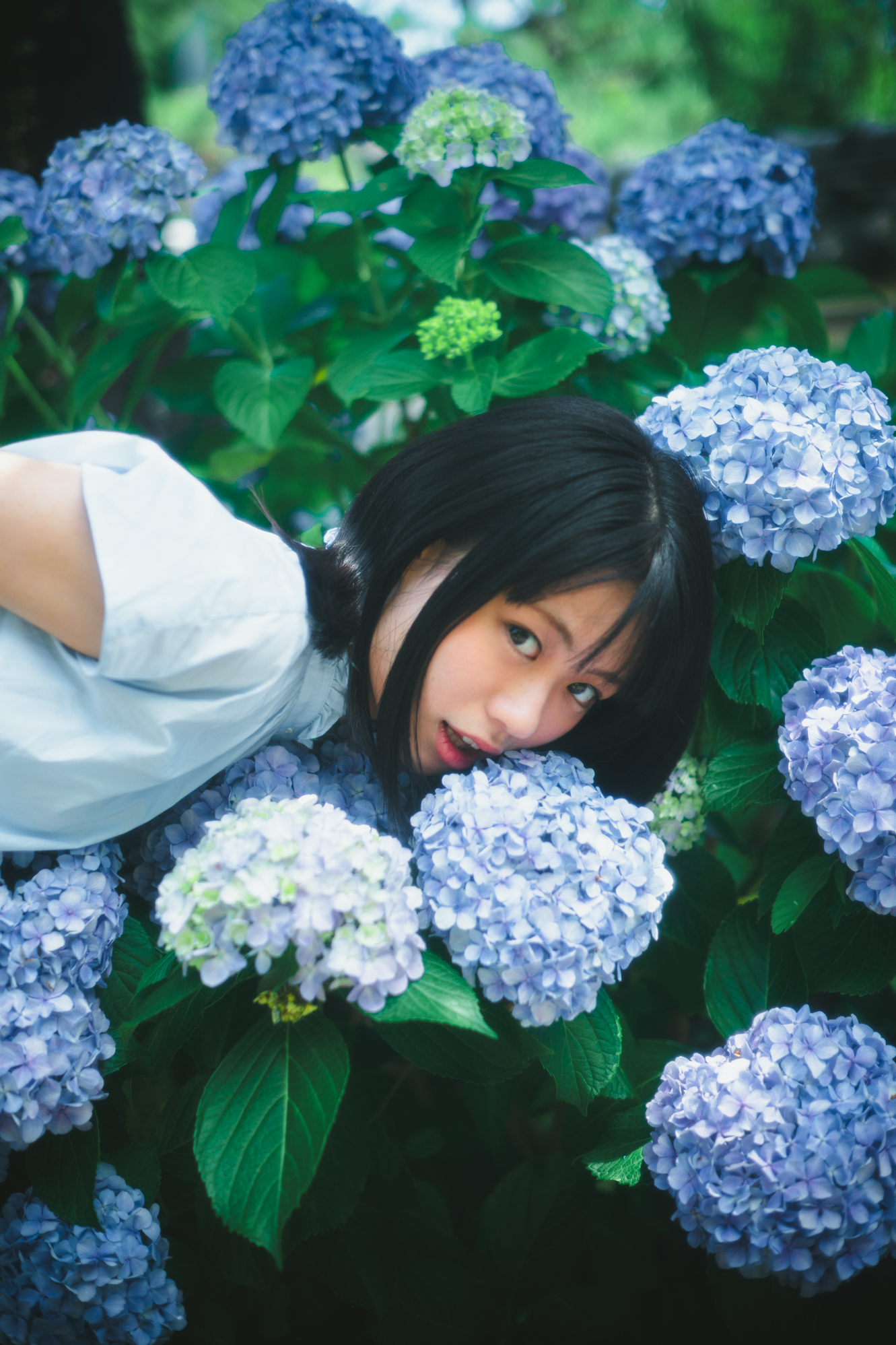 Portrait — Makino Shota