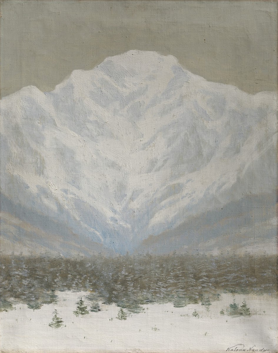 The High Tatras in Winter 19001910