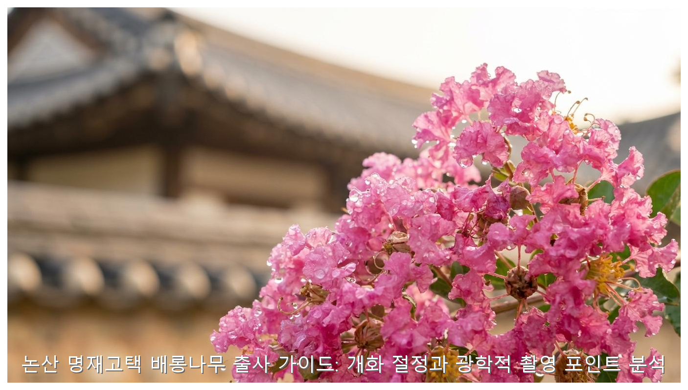 논산 명재고택 배롱나무 출사 가이드: 개화 절정과 광학적 촬영 포인트 분석 핵심 안내 및 분석 인포그래픽 (2)