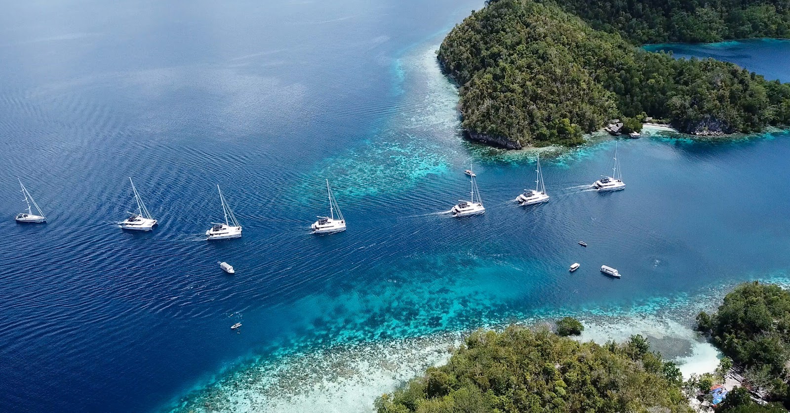 Meridian Adventure. Top Marine Conservation Organisations in Indonesia, Livingseas Asia, Gili Eco Trust, Indonesia Biru Foundation, Meridian Adventure, climate education, carbon calculator, and blue carbon ecosystem conservation. CarbonEthics Indonesia