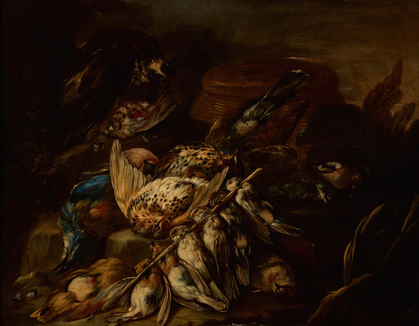 Still Life