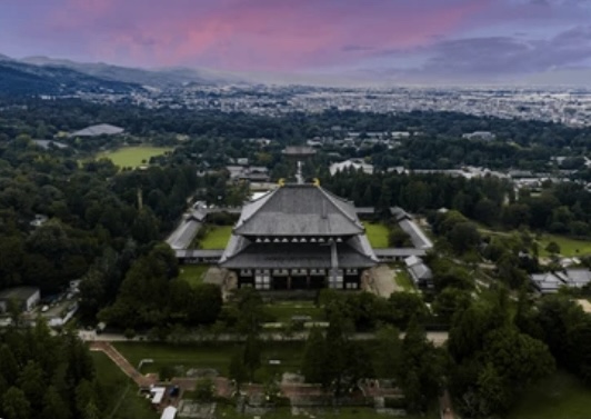 橋本　真季の画像