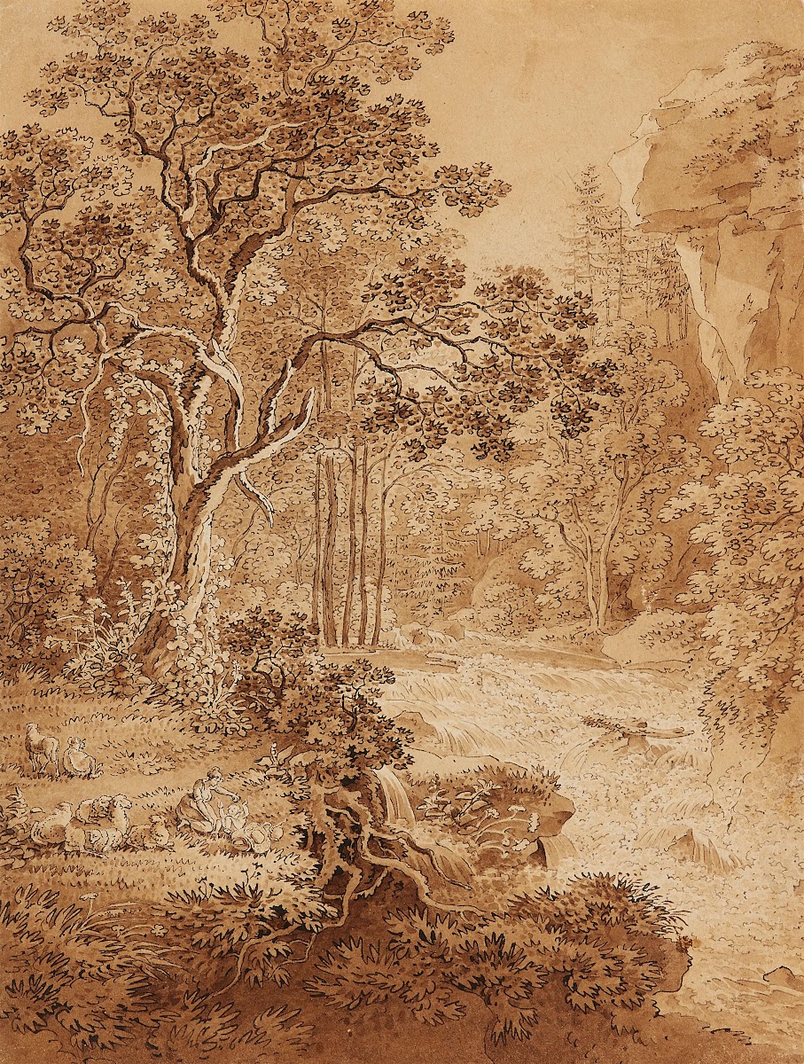 Landschaft im Schandauer Grund