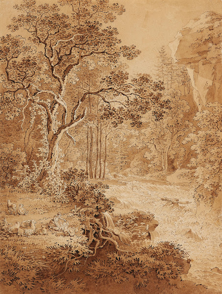 Landschaft im Schandauer Grund