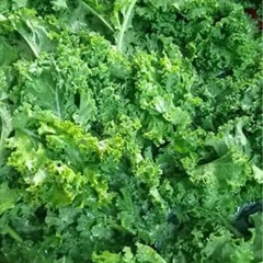 Cải kale rửa sạch, cắt khúc vừa ăn.