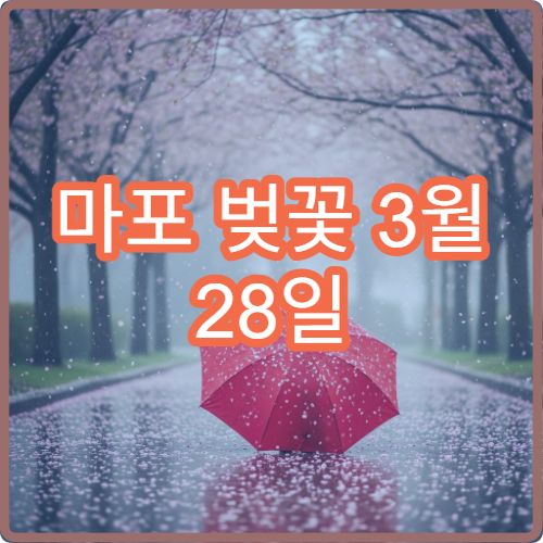 마포 벚꽃 3월 28일 개화 예상일정 평일 야경 최적시간 정리