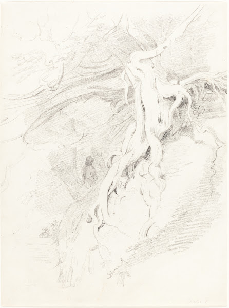The Yew at Clifton