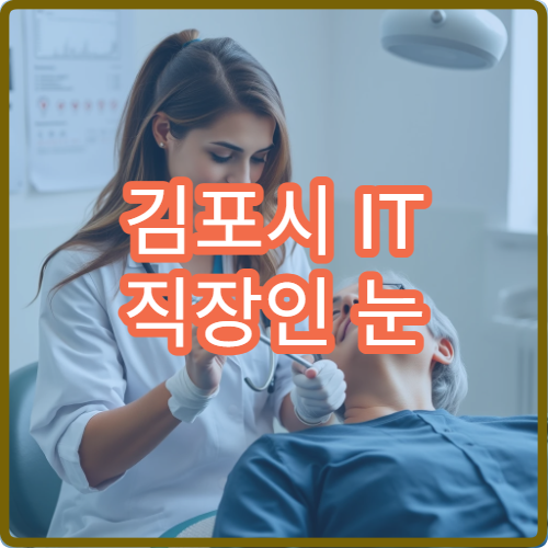 김포시 IT 직장인 눈 피로 안과 렌즈 추천 비교 후기