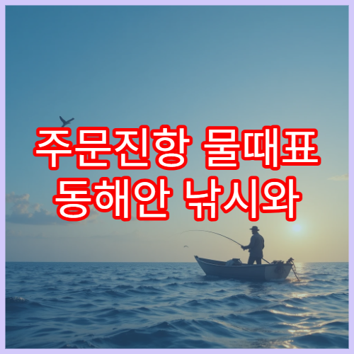 주문진항 물때표 동해안 낚시와 해루질 가능한 시간표