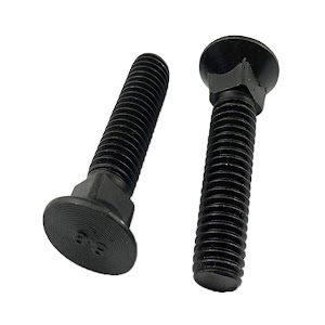 CSK Square Bolt
