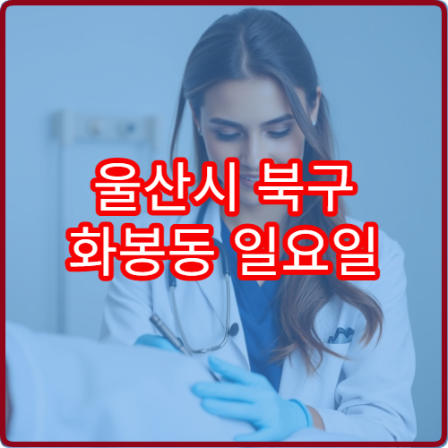 울산시 북구 화봉동 일요일 내과 진료 가능한 병원 휴일 진료 안내