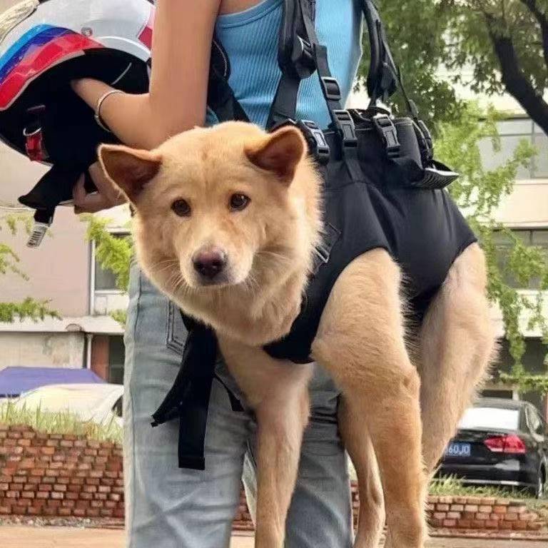Rucksack für Hunde und Katzen, bis 7,5 kg, Oxford