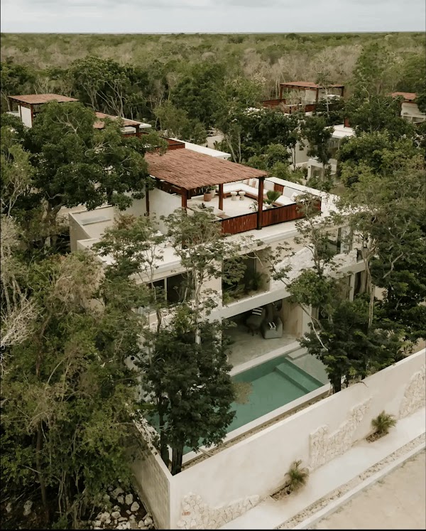 Pura Selva – photo 3