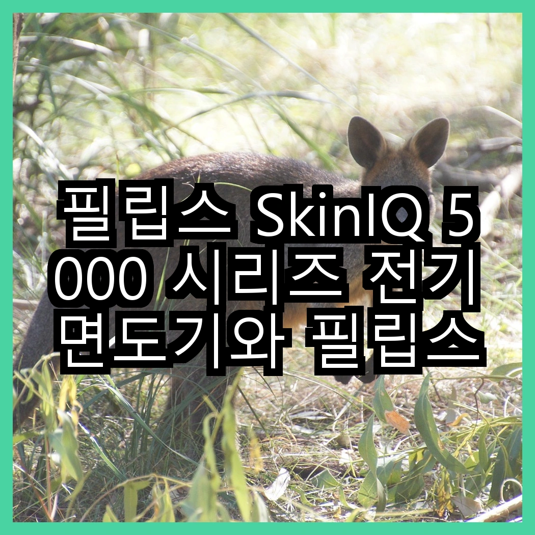필립스 SkinIQ 5000 시리즈 전기면도기와 필립스 3000 시리즈 전기면도기, 어떤 면에서 차별화될까요? 썸네일