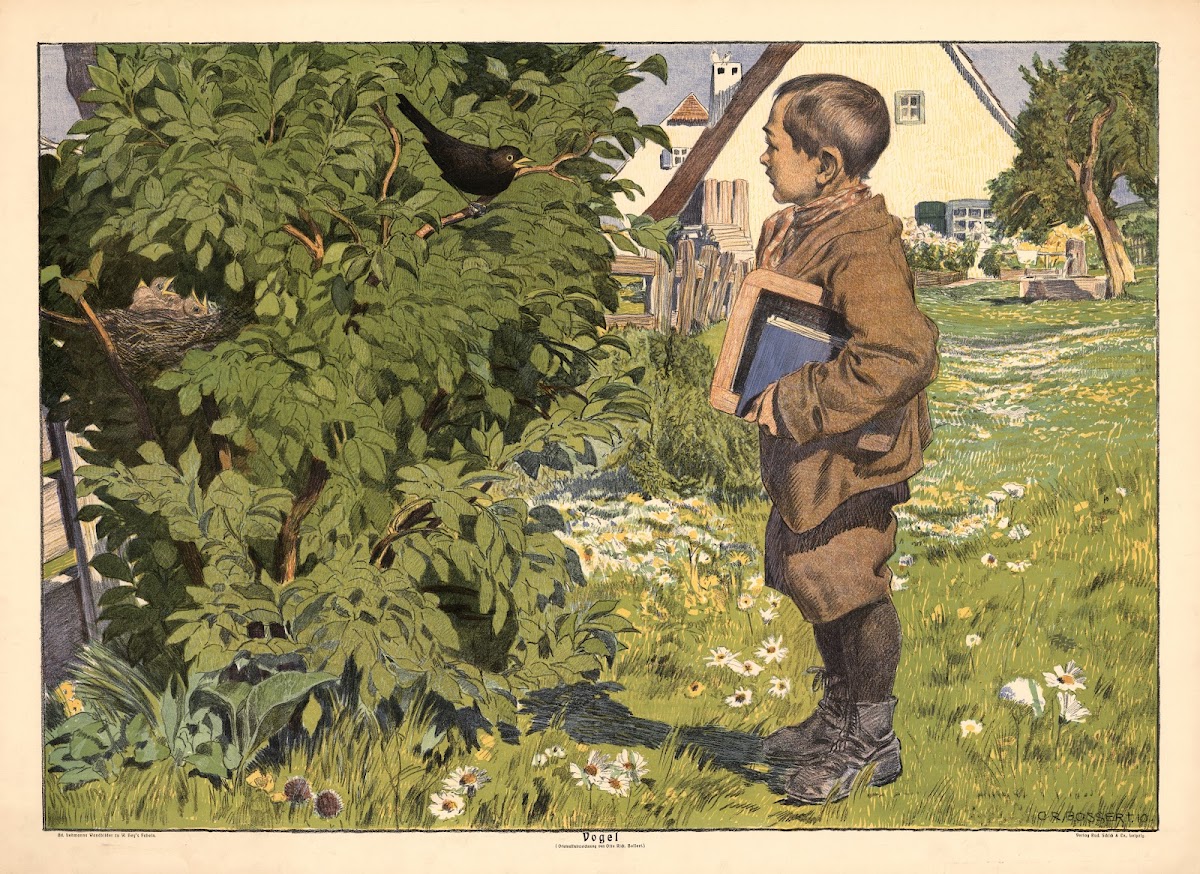 Bird 1911