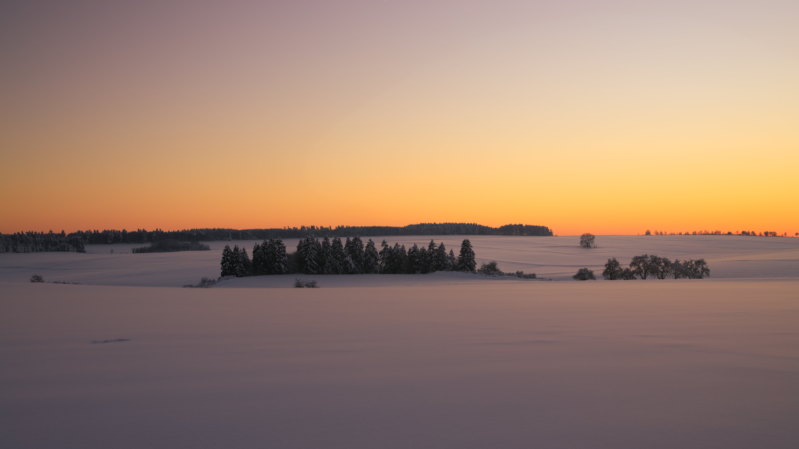 Snowy Field At Sunset - Landscape Photography 5K Wallpaper (5120x2880)