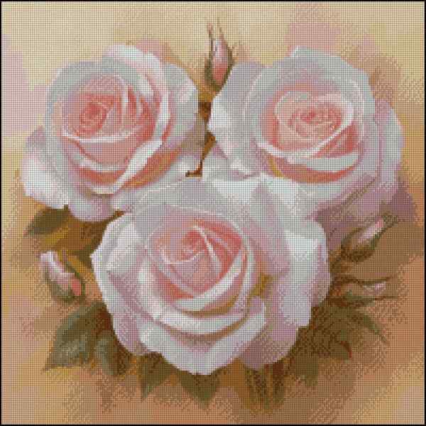 CMP 170504 Pink Pearl
