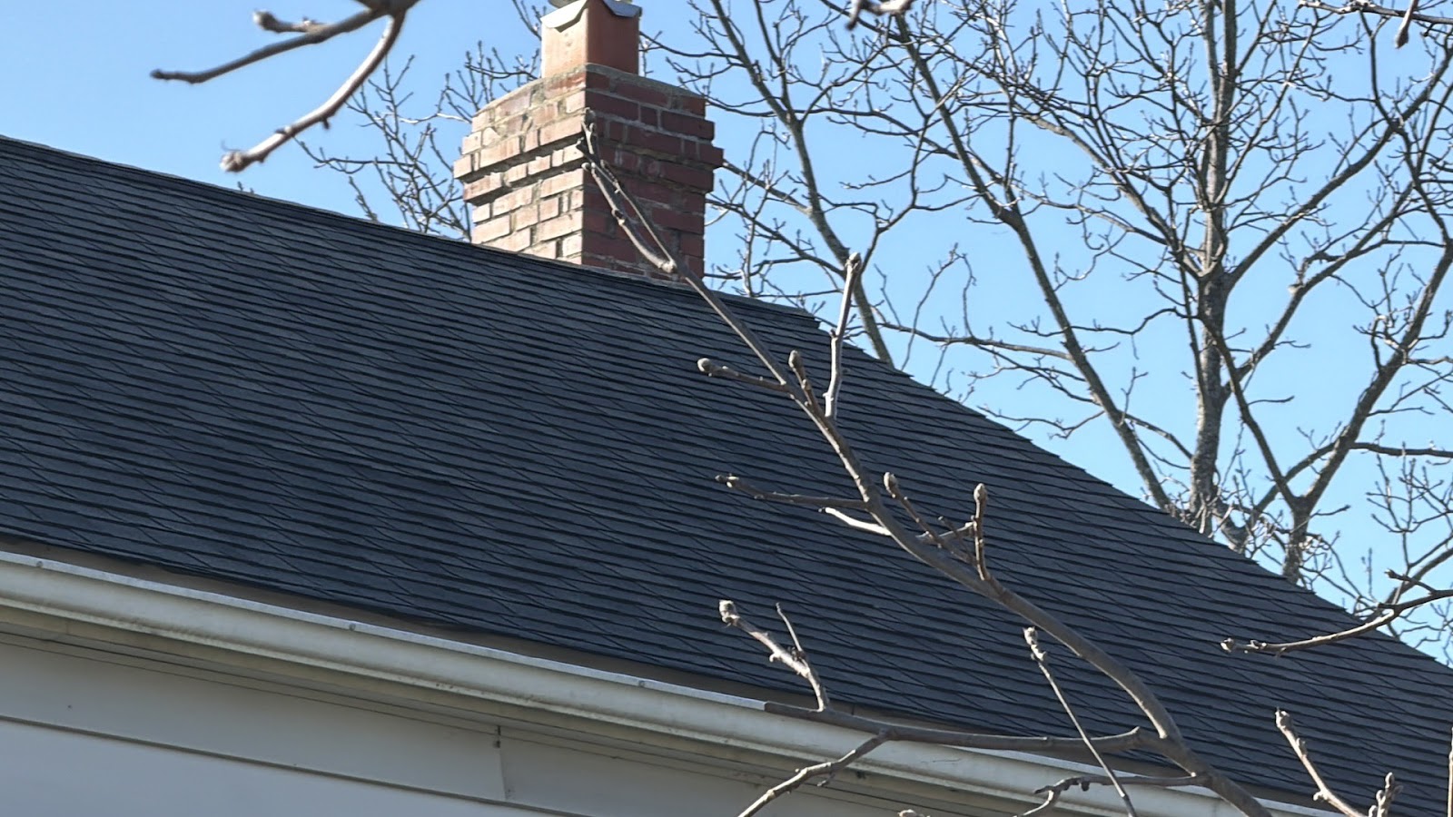 Copy of IMG_2026-03-12_16-53-25_283.jpg