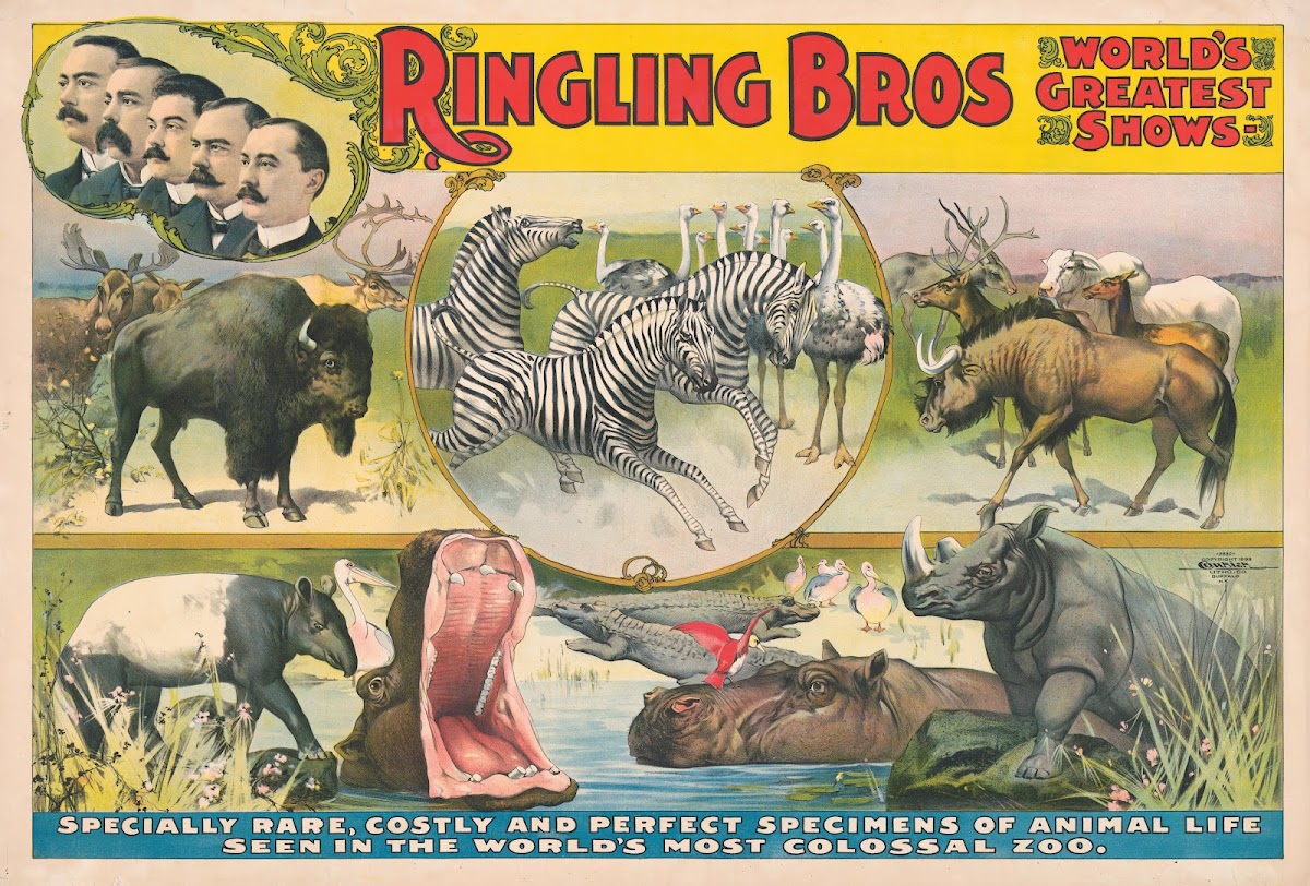 Ringling Bros worlds greatest shows  Specially rare costly and perfect specimens