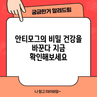 안티모그, 무엇이 안티모그인가, 안티모그의 건강 효과, 왜 안티모그가 필요한가, 어떻게 안티모그를 활용하나