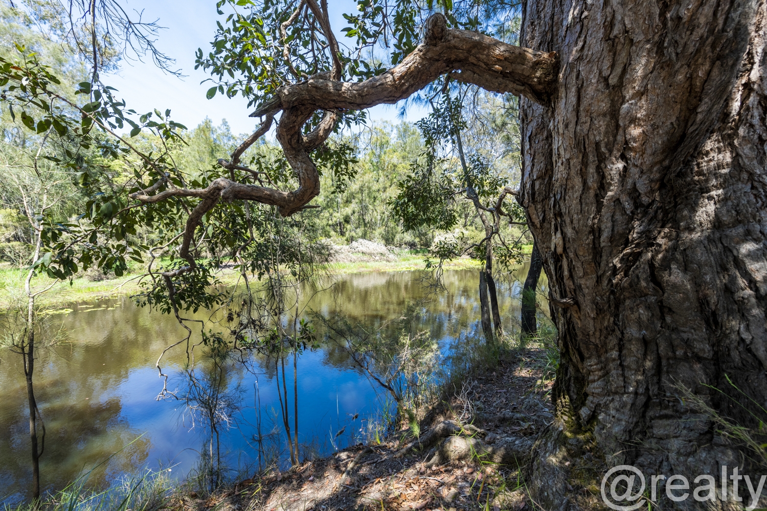 Lot 3 / 931 Eight Mile Lane, Sandy Crossing, NSW 2460, Sandy Crossing - Thumbnail 5
