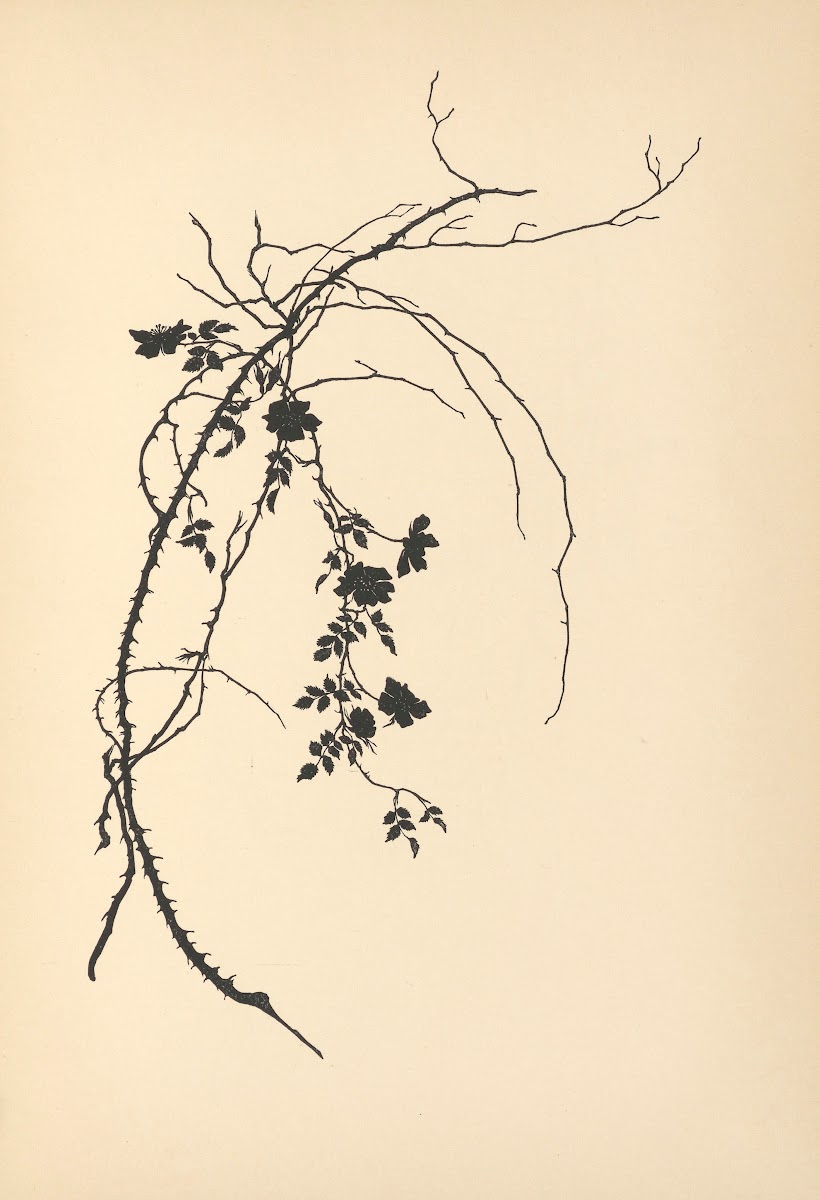 Vertrauen Pl15 1933