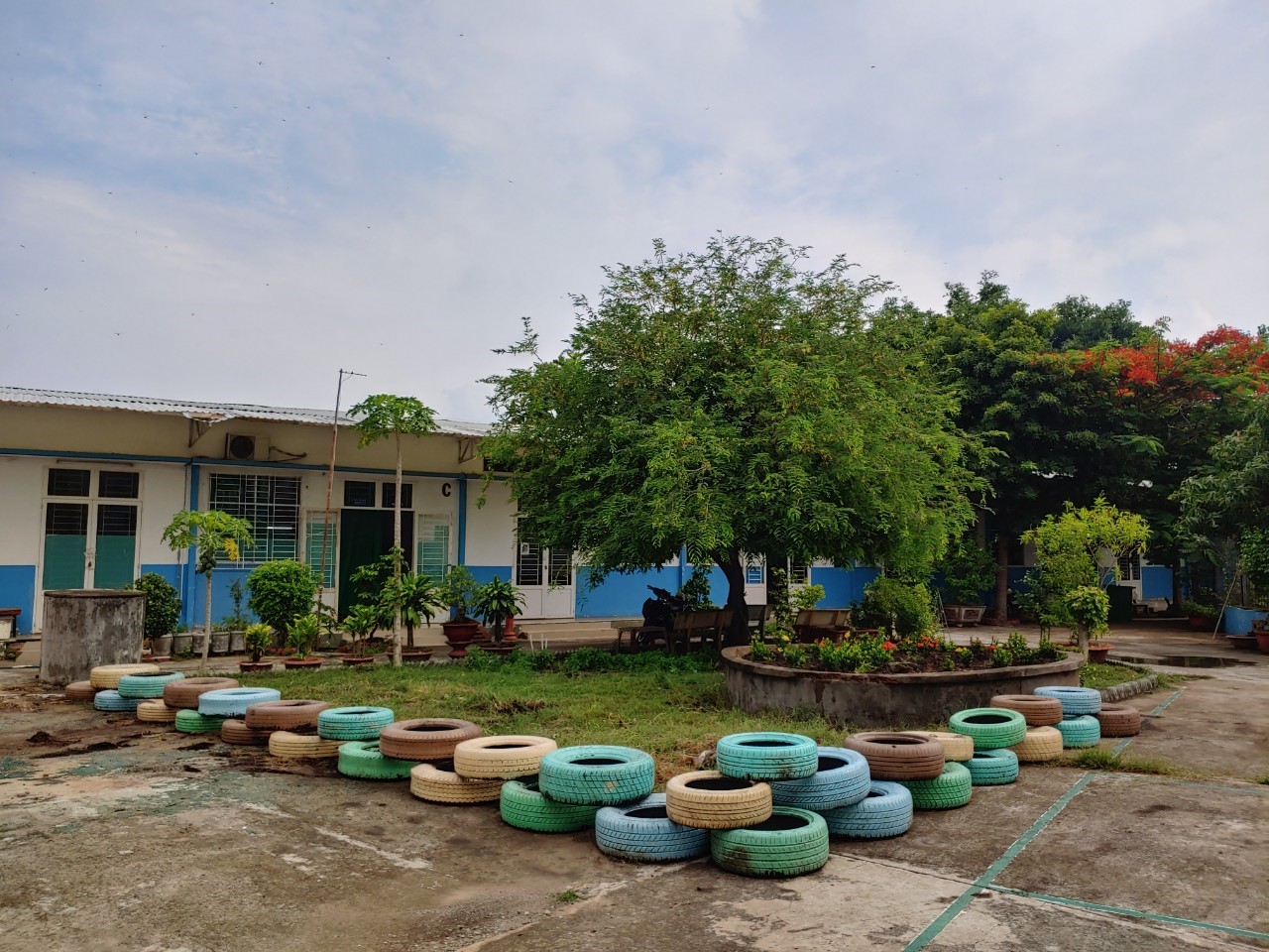 Tổng quan khuôn viên trồng cây xanh
