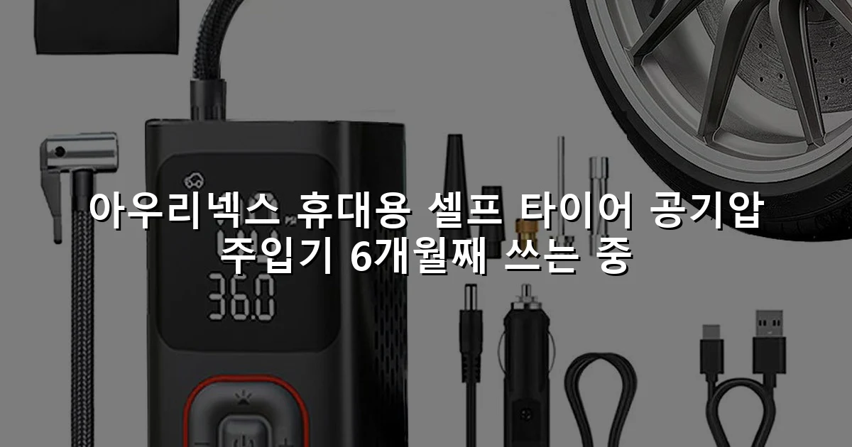 아우리넥스 휴대용 셀프 타이어 공기압 주입기 6개월째 쓰는 중