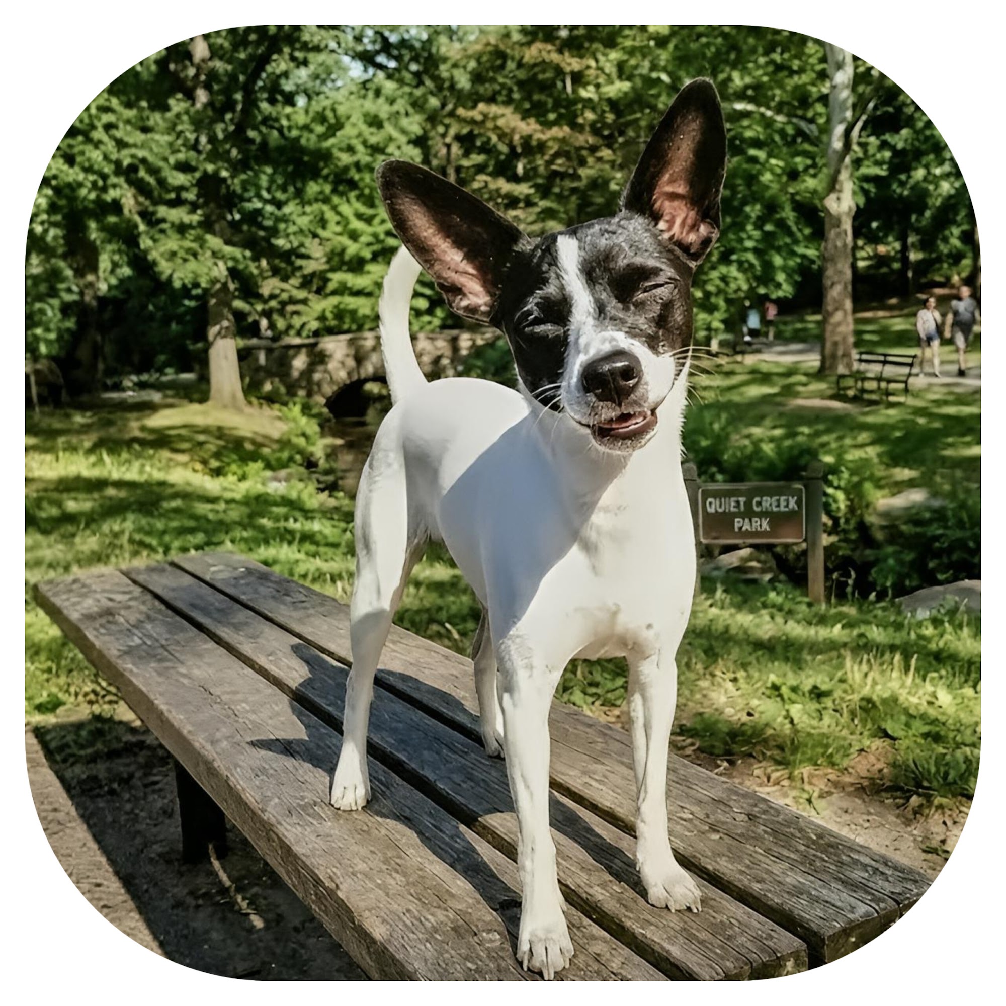 Kiddee on a park bench at Quiet Creek Park